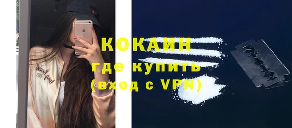 спайс Алзамай